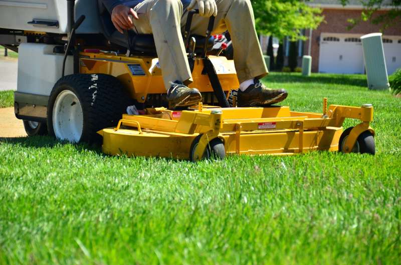 Artificial Turf